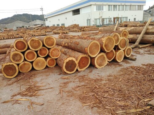 【私たちの家づくり】稔工務店が使う木材の品質とは？高品質な土佐材